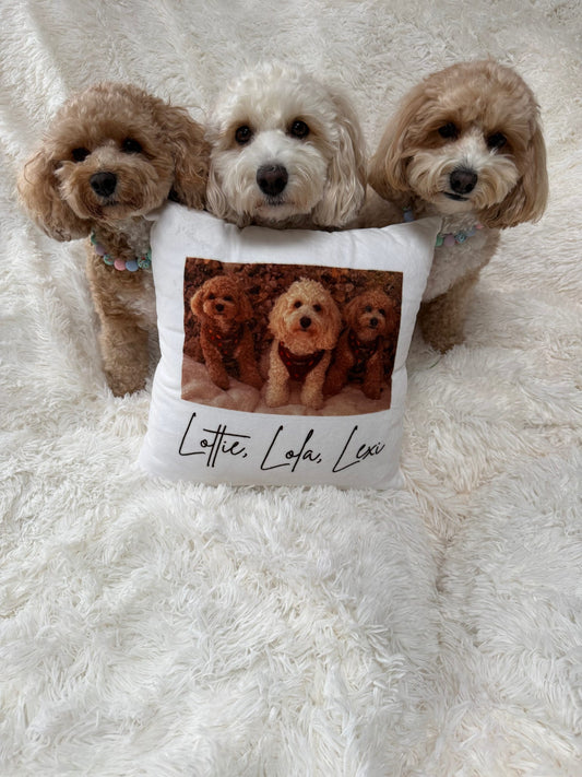 Personalised Pet Cushions