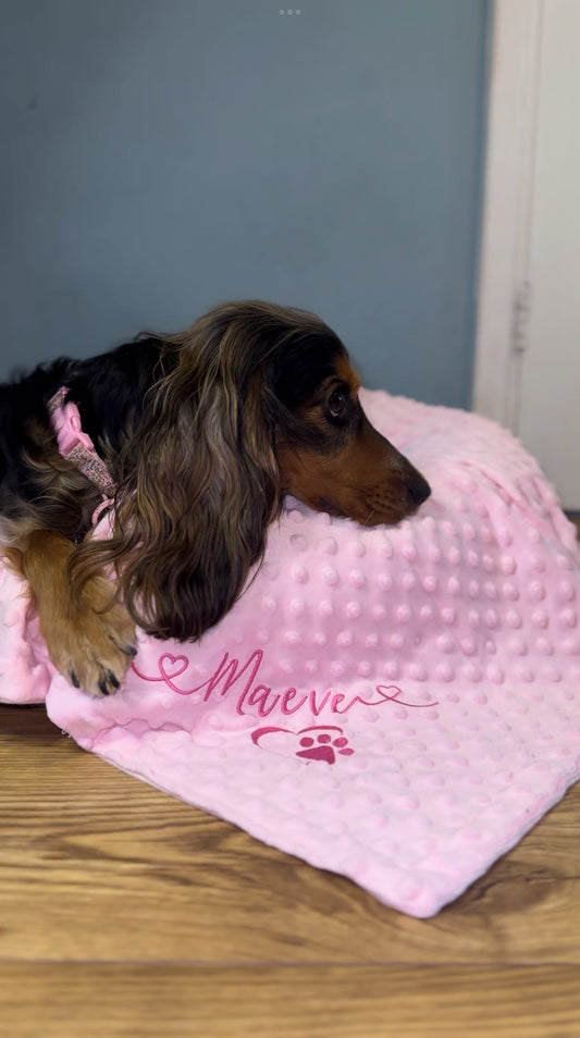 Dog lying on a pink blanket with embroidery on a wooden floor.