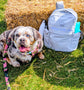 Dog sitting on grass next to a backpack with 'skye.fluffy.co.uk' branding