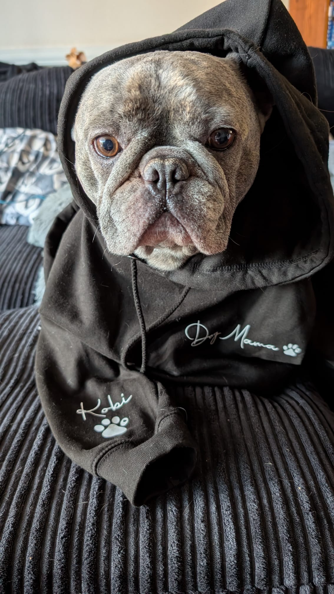 Unisex Personalised Pet Zipped Hoodie For Humans