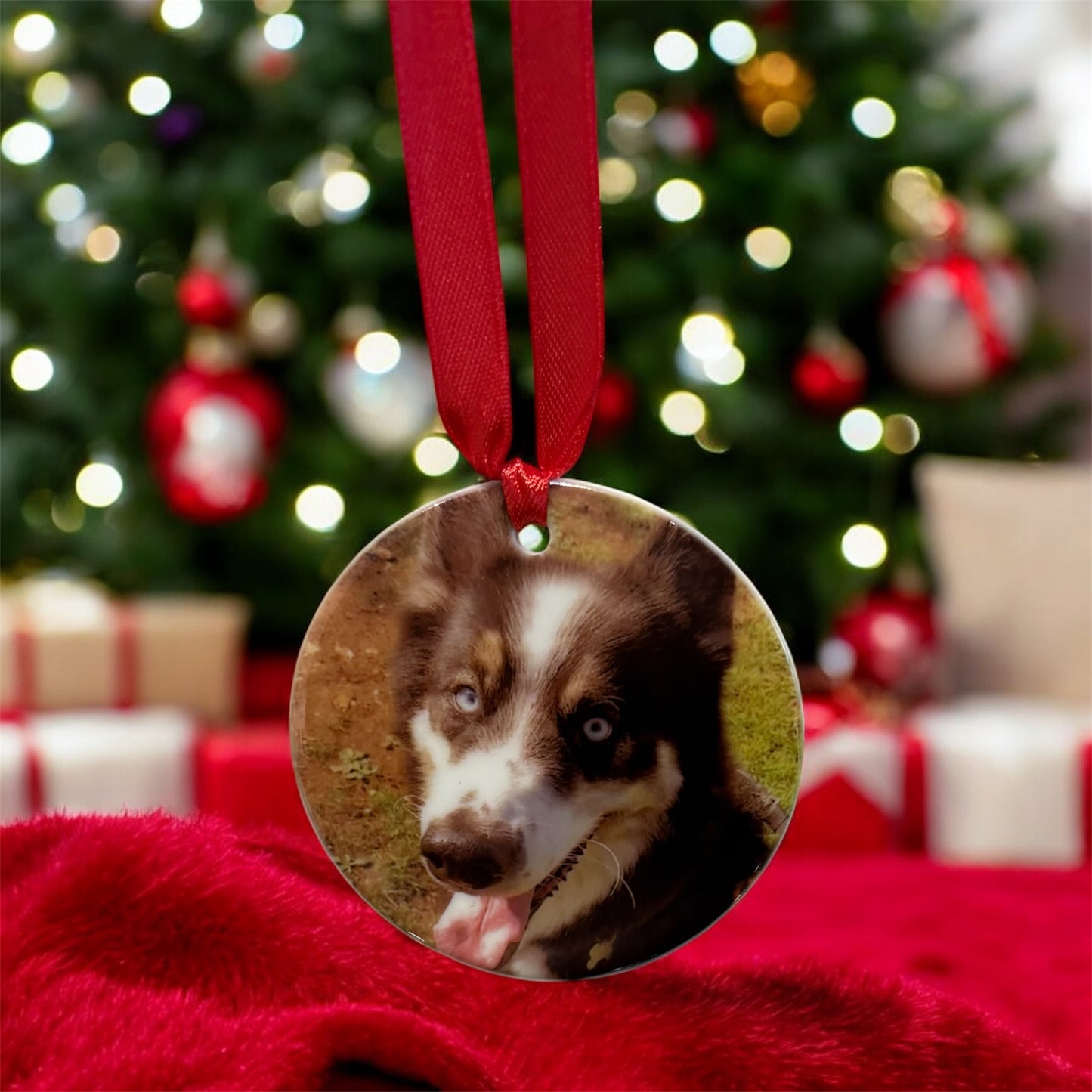 Personalised Christmas Pet Bauble Ornament