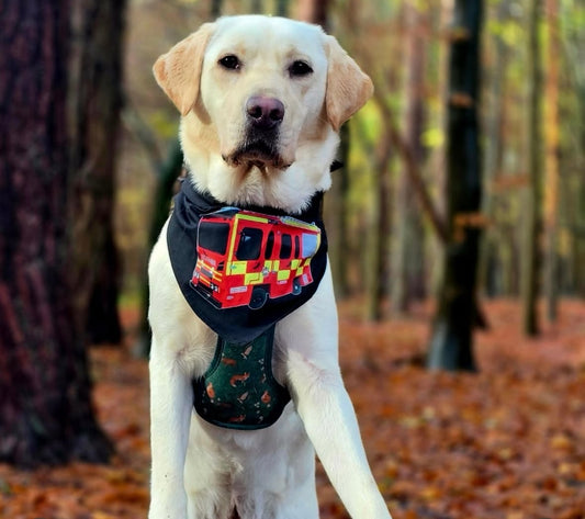 Business/Personal Custom Pet  Bandana | Own Logo/Design