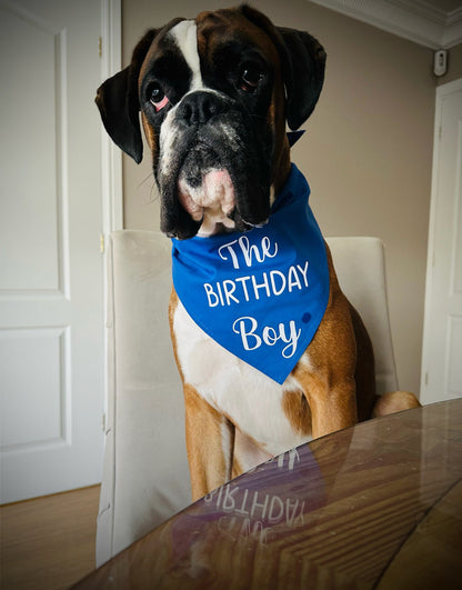 Business/Personal Custom Pet  Bandana | Own Logo/Design