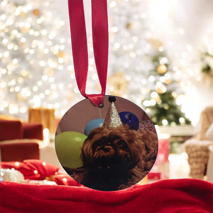 Personalised Christmas Pet Bauble Ornament