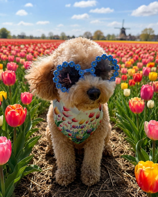 Business/Personal Custom Pet  Bandana | Own Logo/Design