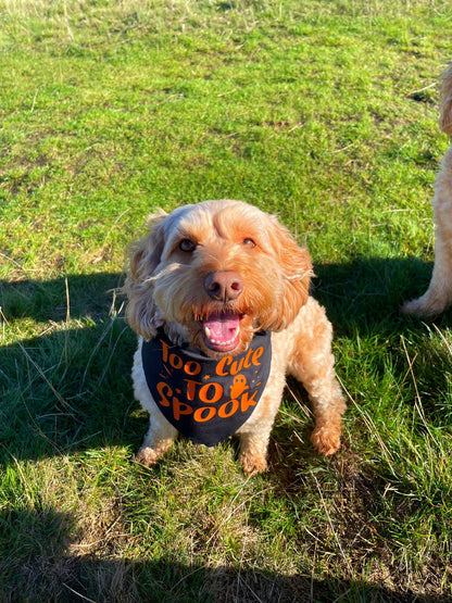 Halloween Pet Bandana | One Size | Choose Design
