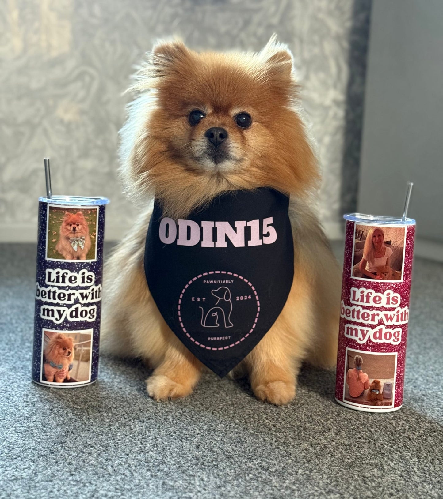 Personalised Thermal Stainless Steel Tumbler 20oz | Pet Gifts For Humans | Lots Of Options