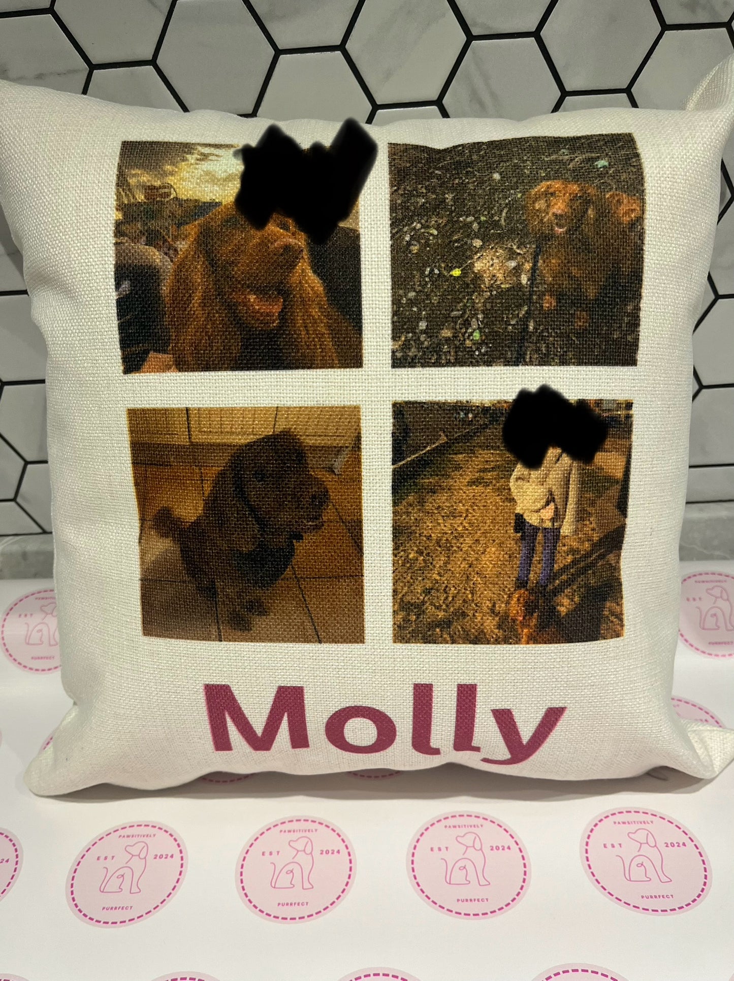 Personalised Cushions - Pawsitively Purrfect