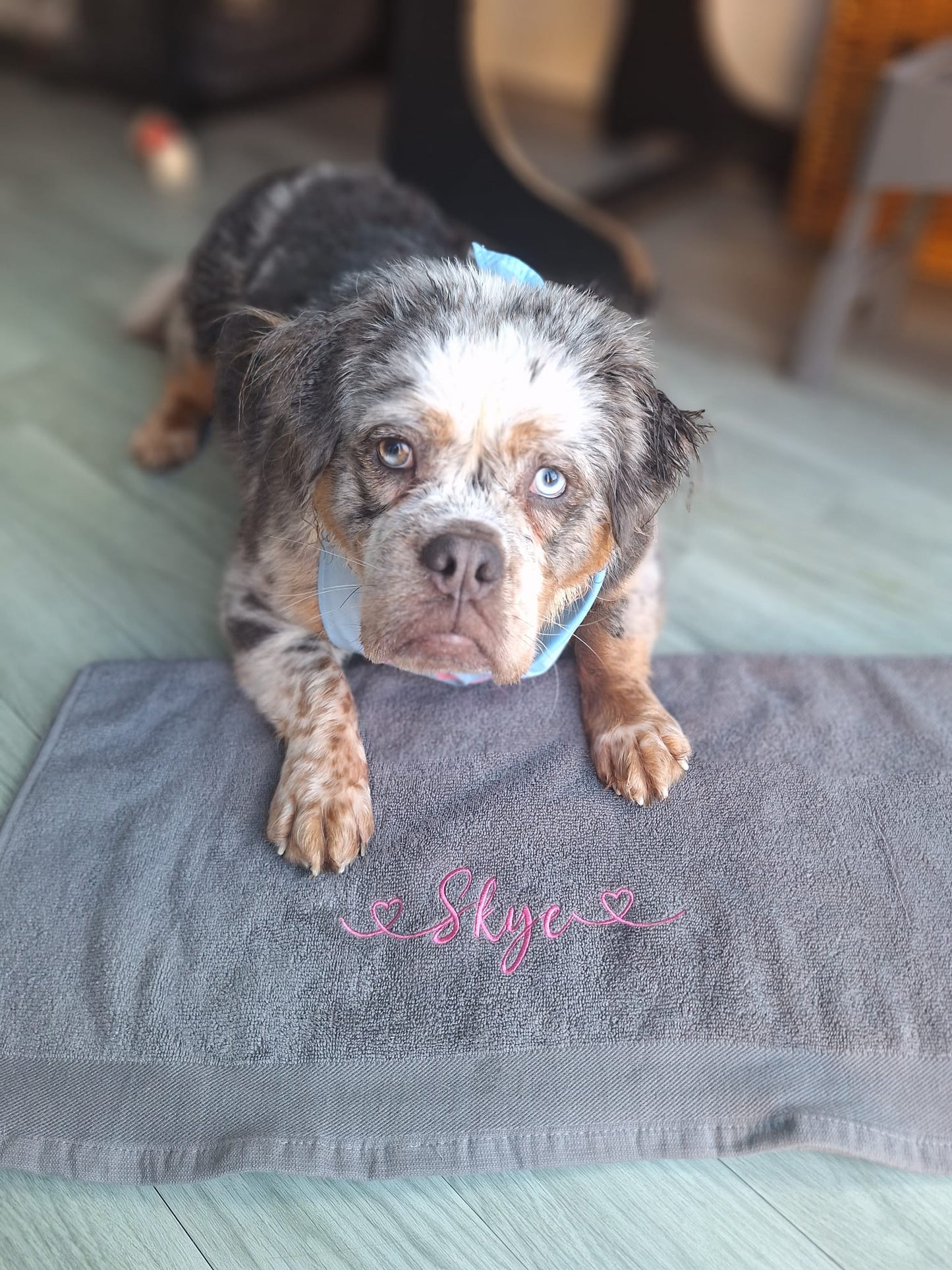 Embroidered Personalised Pet Towel | Bundle