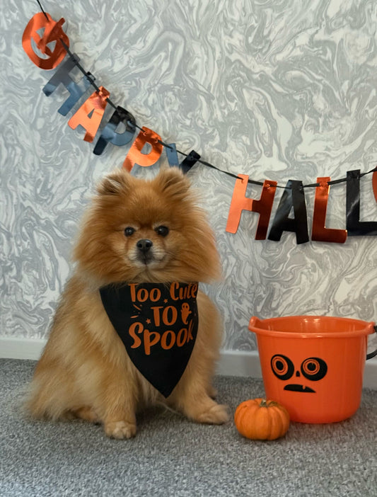 Halloween Pet Bandana | One Size | Choose Design