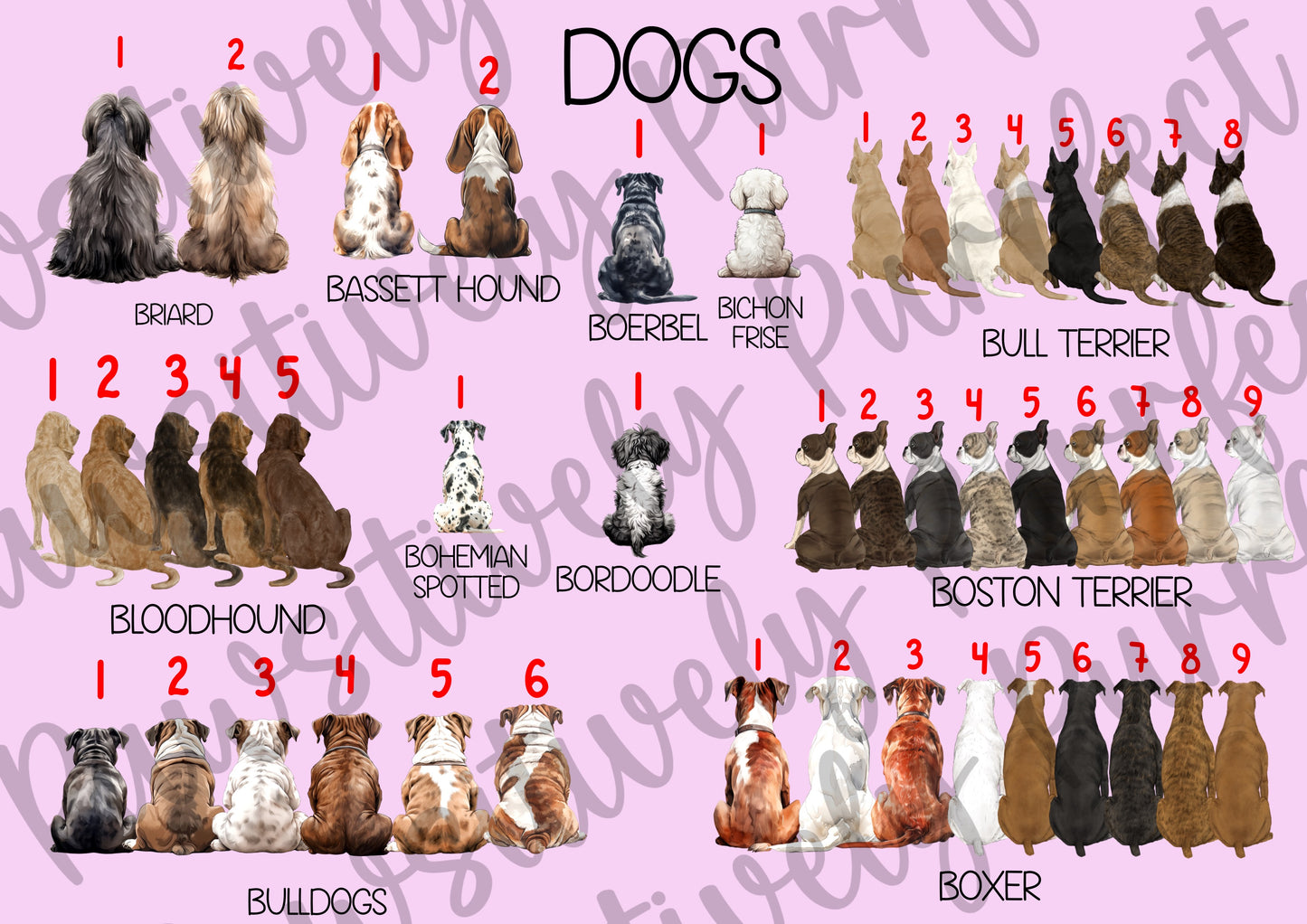 Custom Family Design | Personalised Pet Gifts For Humans