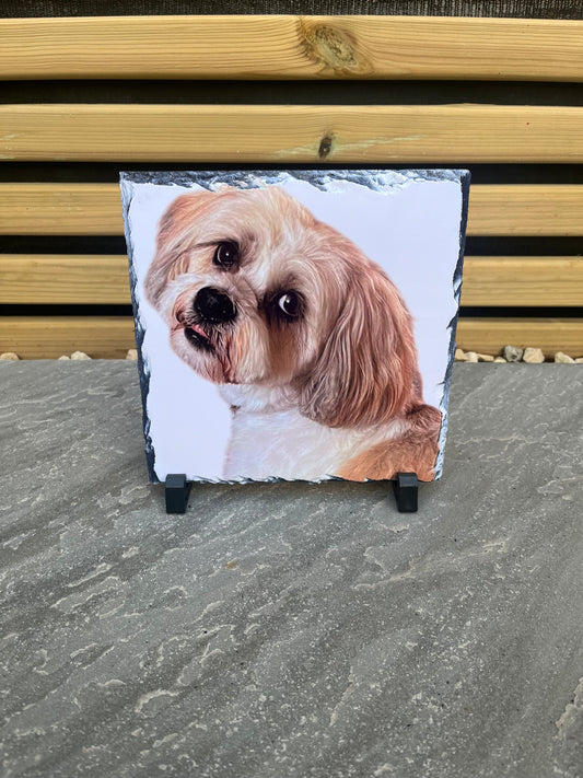 Personalised Slates - Pawsitively Purrfect