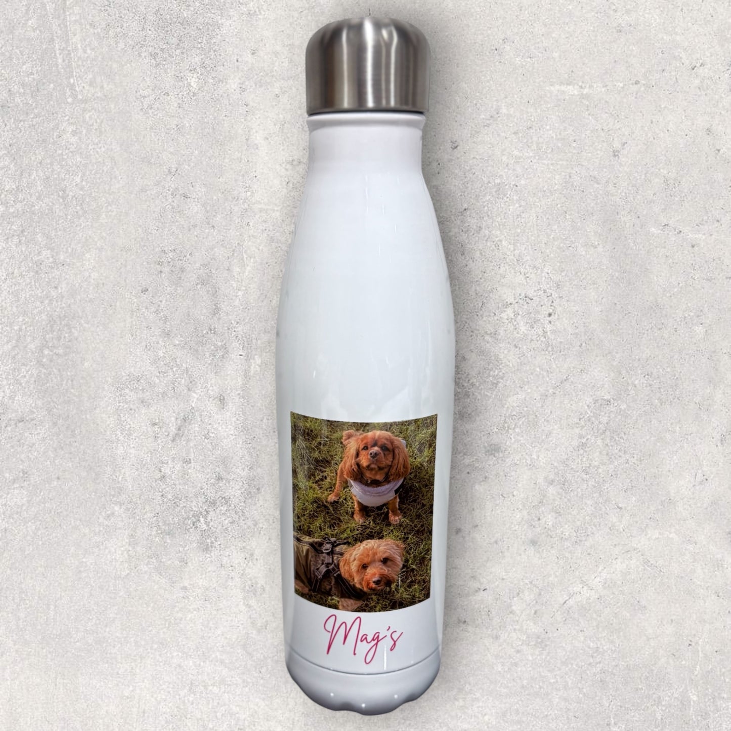 Pet Themed Thermal Stainless Steel Double Walled Bottle 500ml - PERSONALISED