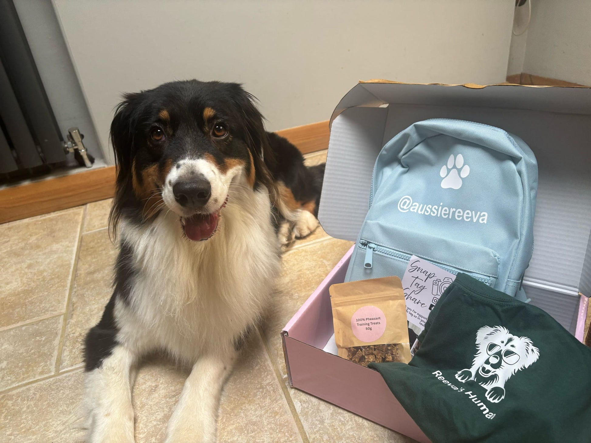 Dog sitting next to a package with a backpack, t-shirt, and other items on a tiled floor.