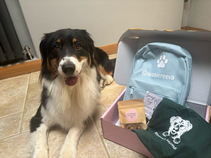 Dog sitting next to a package with a backpack, t-shirt, and other items on a tiled floor.