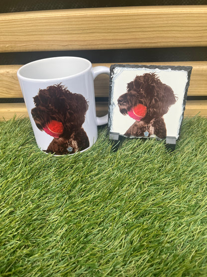 Pet Design Mug 11oz & Coaster- Personalised - Pawsitively Purrfect