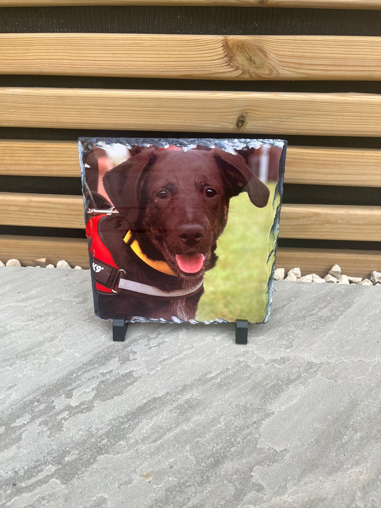 Small rectangular mat with a dog design on a textured surface