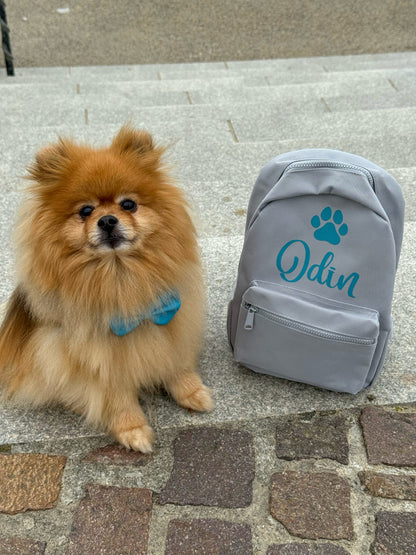 Small brown dog sitting next to a gray backpack with 'Odin' on it on a stone pavement.