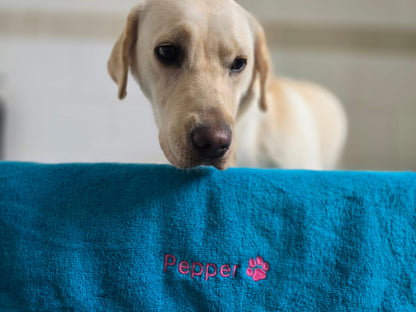Dog peeking over a blue blanket with 'Pepper' embroidered on it