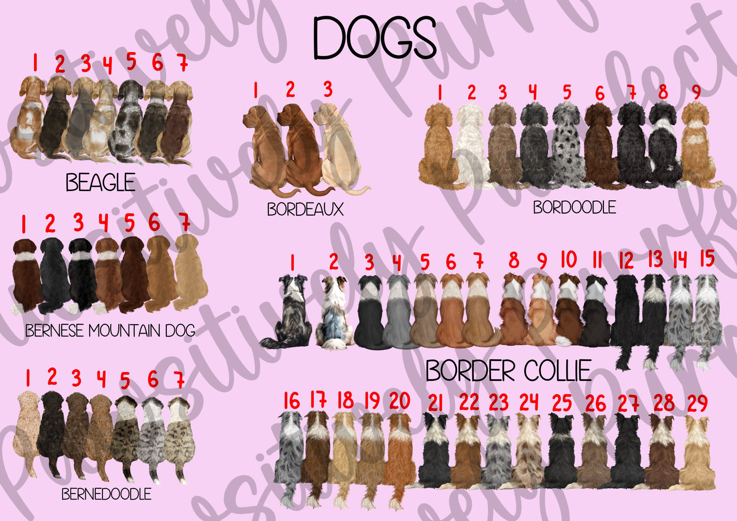 Custom Family Design | Personalised Pet Gifts For Humans