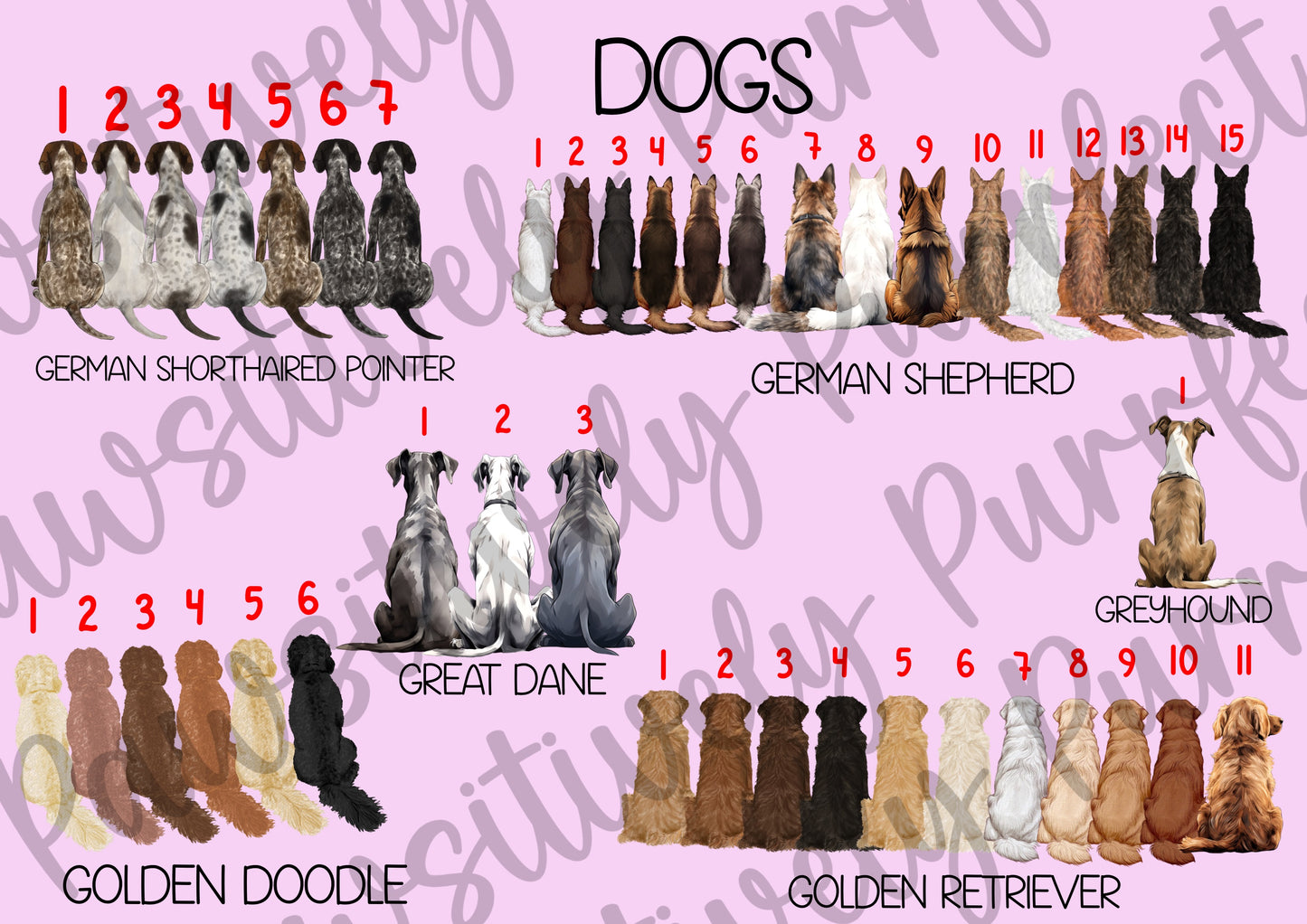 Custom Family Design | Personalised Pet Gifts For Humans