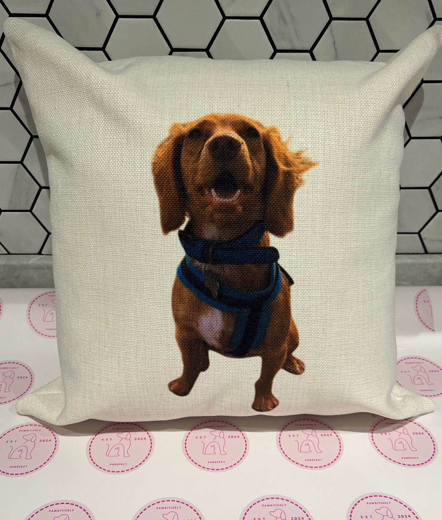 Personalised Cushions - Pawsitively Purrfect