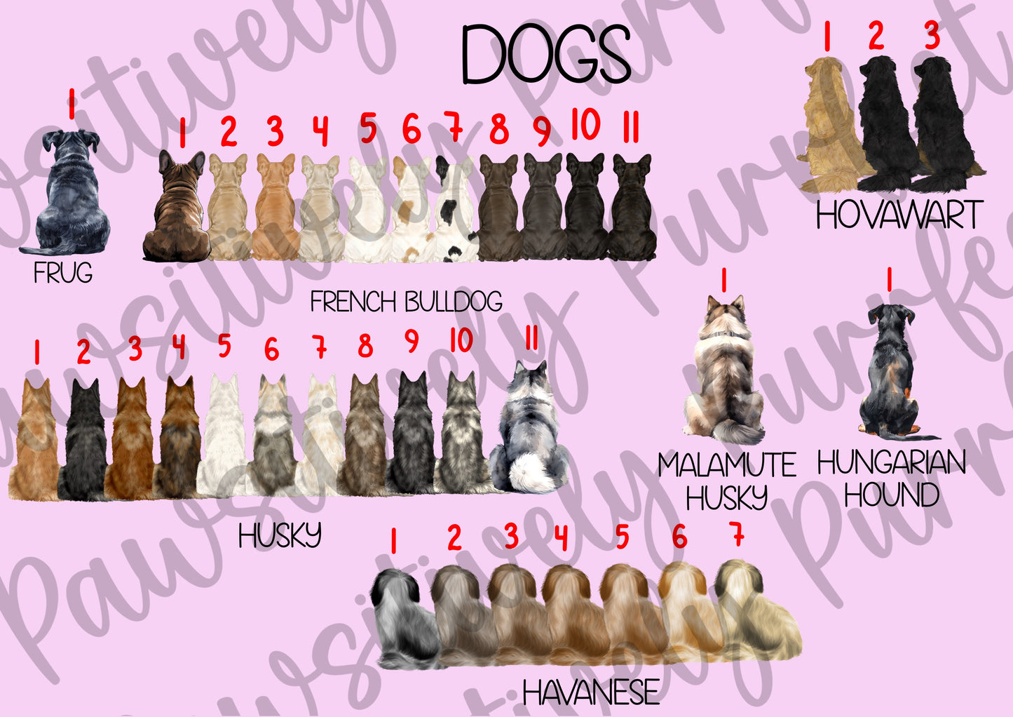 Custom Family Design | Personalised Pet Gifts For Humans