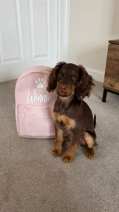 Small brown dog sitting on a carpeted floor next to a pink backpack with 'Winnie' written on it.