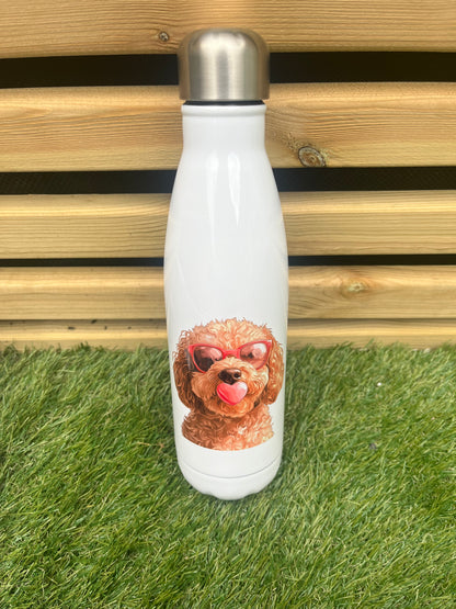 Pet Themed Stainless Steel Double Walled Bottle 500ml - Personalised - Pawsitively Purrfect