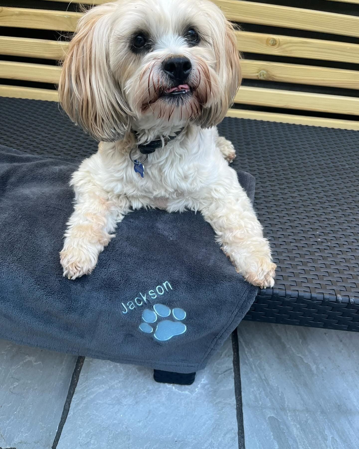 Small white dog sitting on a gray blanket with 'Jackson' and a paw print on it, on a wooden deck.