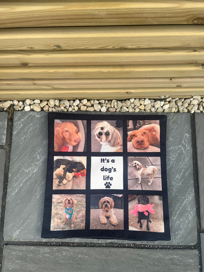 Personalised Cushions - Pawsitively Purrfect