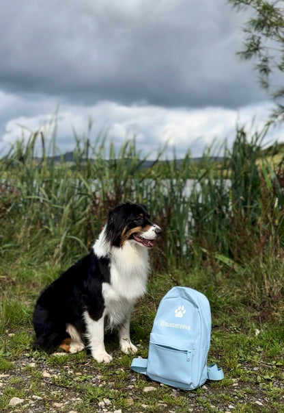 Dog sitting next to a blue backpack with a lake and cloudy sky in the background