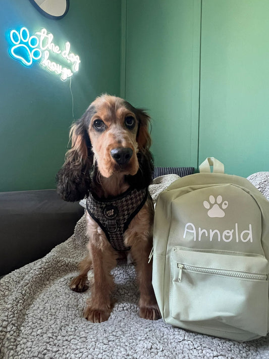Personalised Pet Mini Backpacks