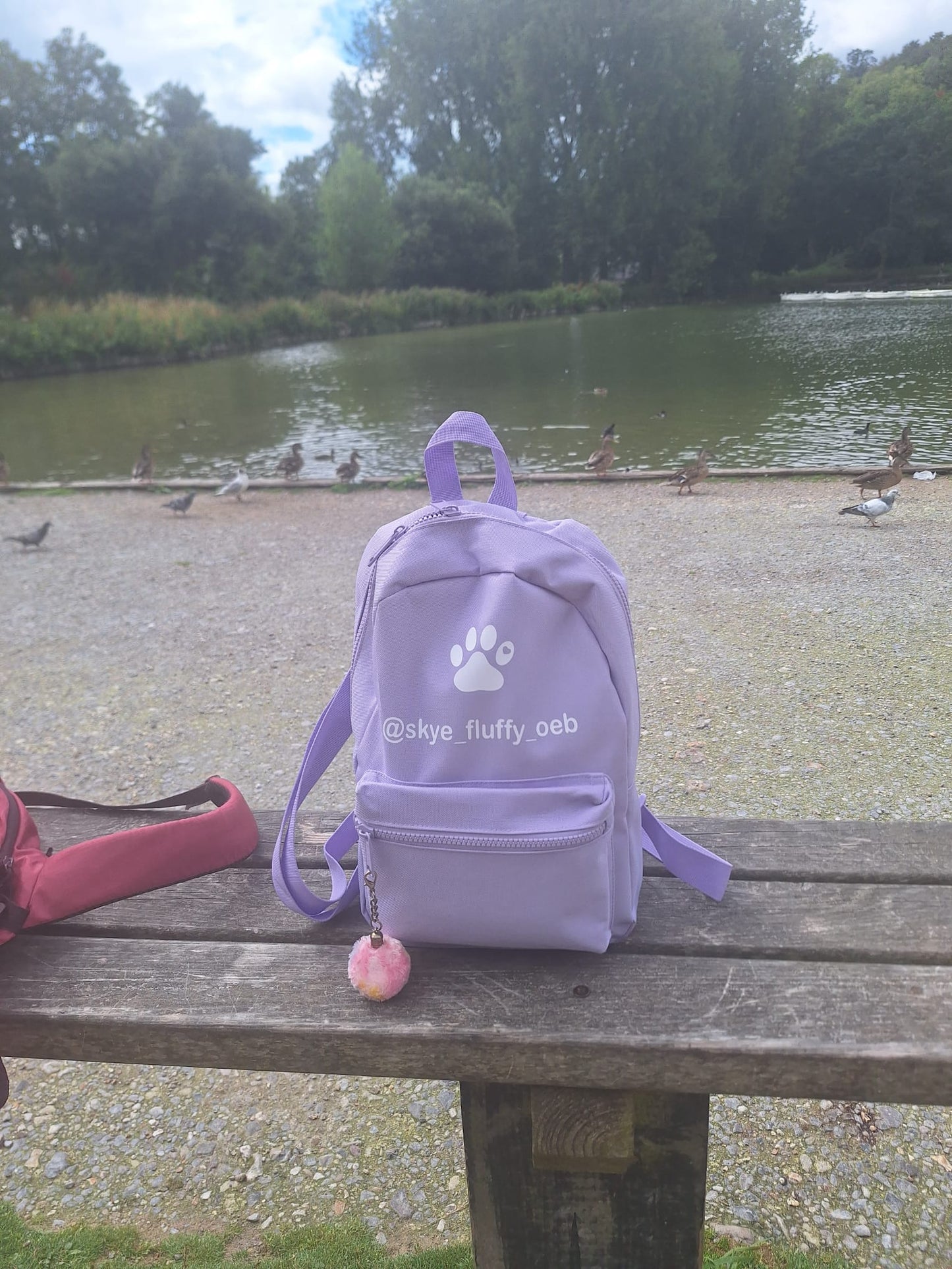 Purple backpack with paw print design on a wooden bench by a lake