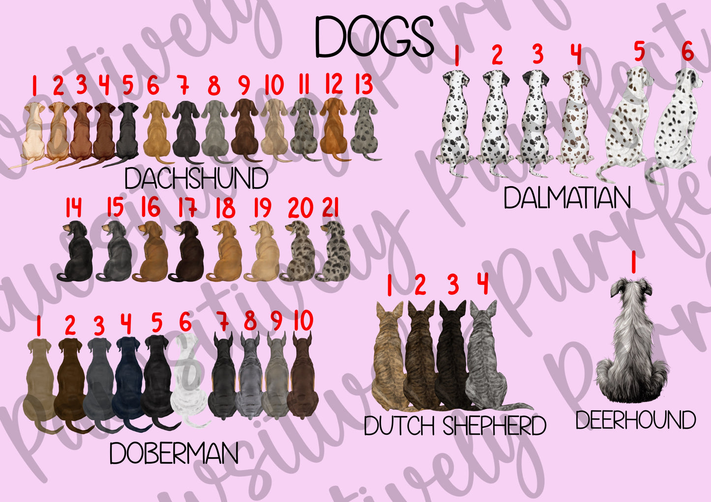 Custom Family Design | Personalised Pet Gifts For Humans