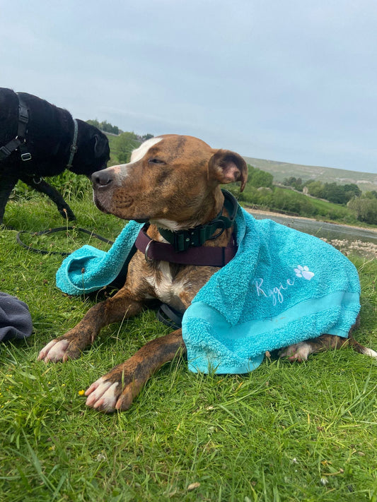 Embroidered Personalised Pet Towel | 2 Sizes Available