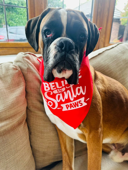 Christmas Pet Bandana - One Size - Choose Design