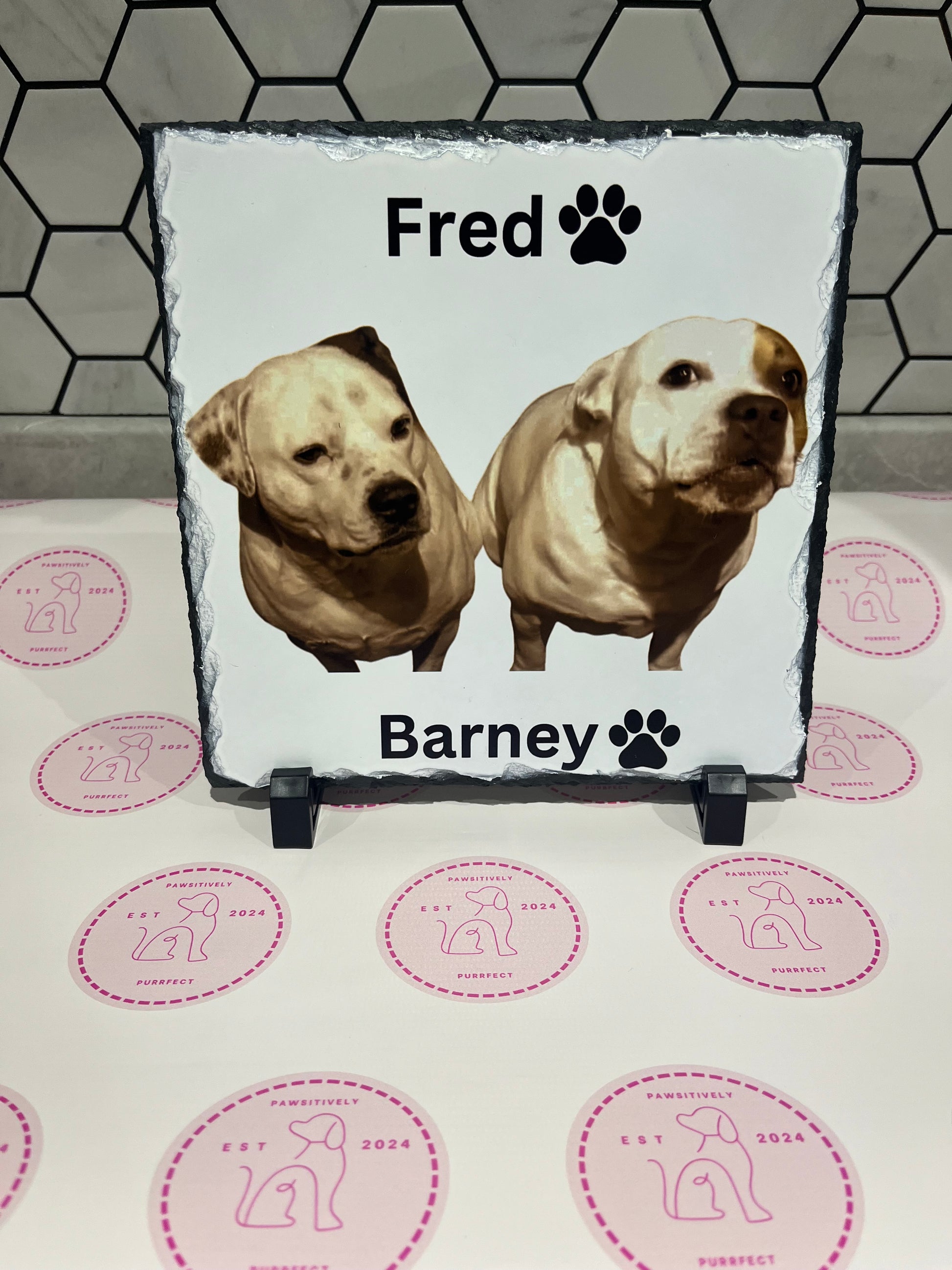 Personalised Slates - Pawsitively Purrfect