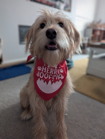 Christmas Pet Bandana - One Size - Choose Design