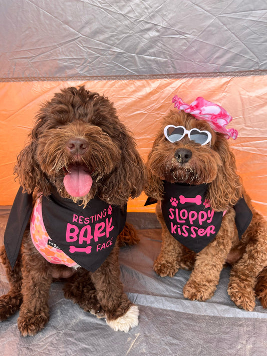 Funny Pet  Bandana | Choose Design