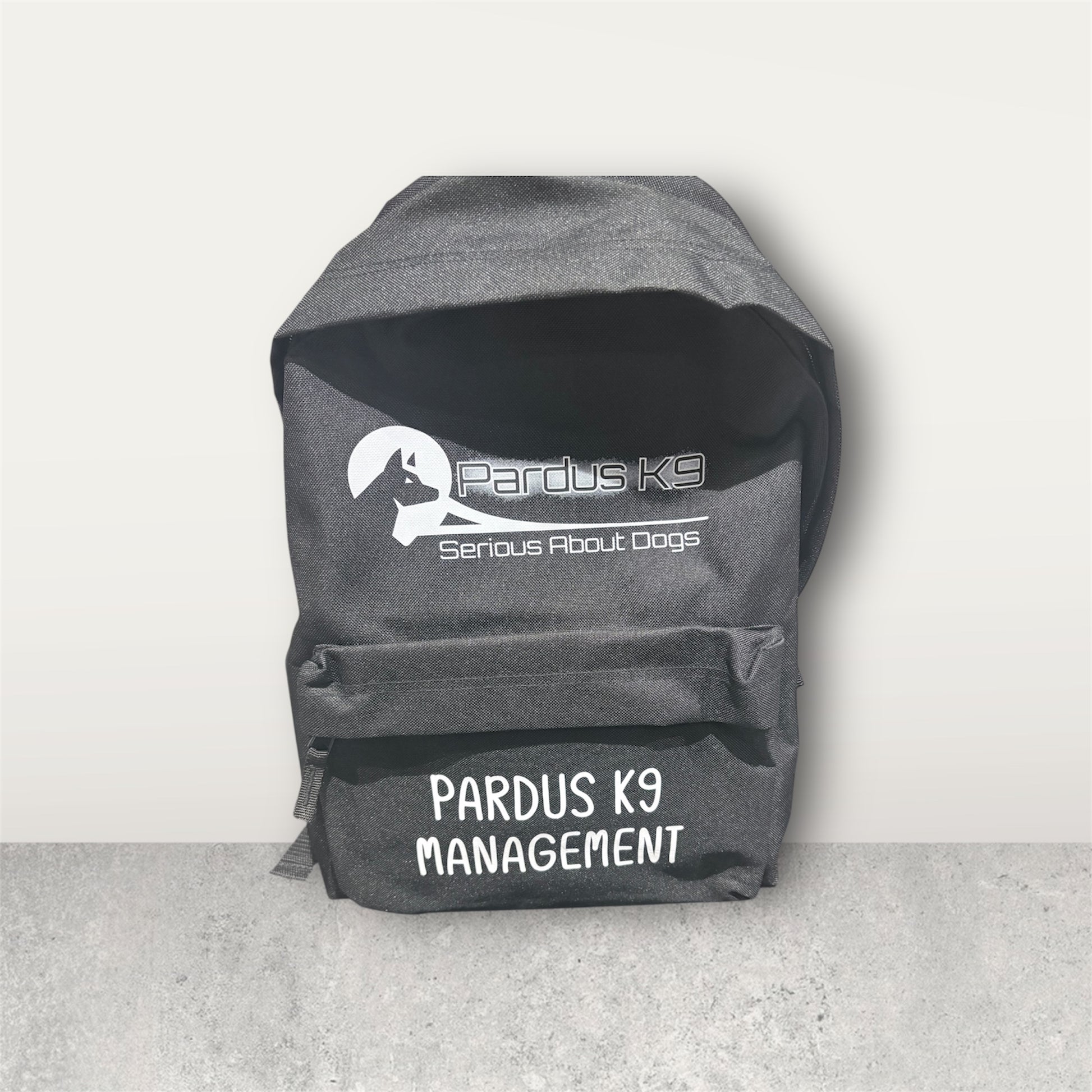 Branded business backpack showing personalised logo design
