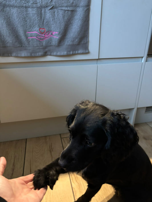 Embroidered human hand and paw pet towel for dogs