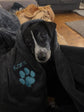 Embroidered personalised pet blanket featuring a pet name and paw print