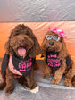 Dog wearing funny pet bandana with humorous design