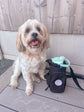 HydraPaws dog water bottle and personalised bag for adventures