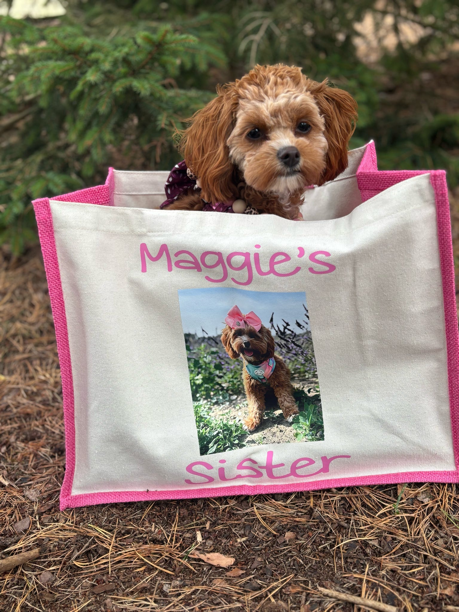 Our personalised cat tote bag
