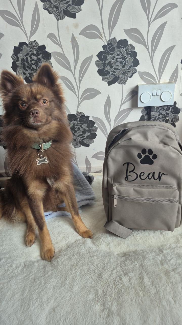 Personalised dog backpack with name and paw print design