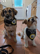 Our personalised dog walker bandana with business logo