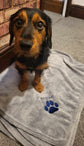 Personalised dog fleece blanket with embroidered pet name