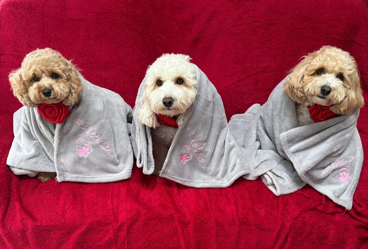 Personalised embroidered pet blanket with pet name and paw print